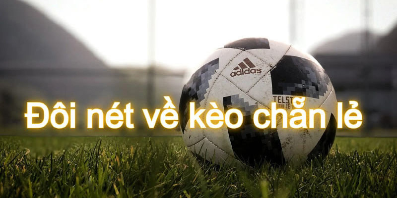 Thế nào là kèo chẵn lẻ? Một số kèo thường gặp trong cá cược keo-chan-le