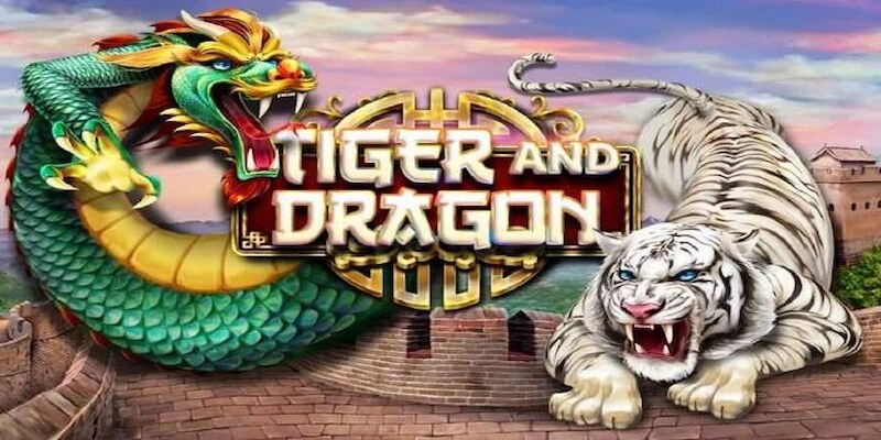 Rồng hổ là gì?