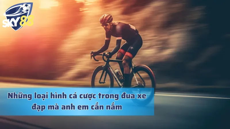 Làm Giàu Nhanh Chóng Với Cá Cược Đua Xe Đạp Hấp Dẫn Các loại hình trong bộ môn này anh em cần nắm
