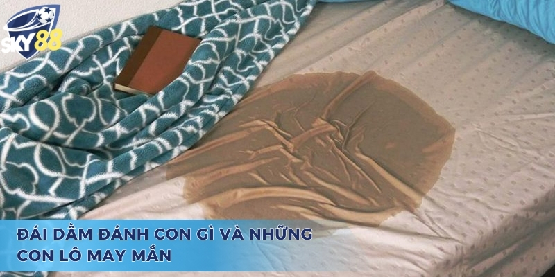 Tìm Hiểu Giấc Mộng Đái Dầm Đánh Con Gì Chuẩn Xác Nhất Các cặp số và thắc mắc đái dầm đánh con gì
