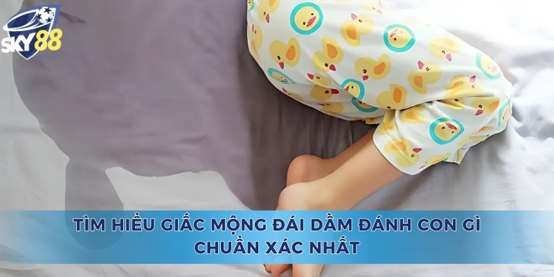 Tìm Hiểu Giấc Mộng Đái Dầm Đánh Con Gì Chuẩn Xác Nhất Đái Dầm Đánh Con Gì