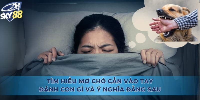 Tìm Hiểu Mơ Chó Cắn Vào Tay Đánh Con Gì Và Ý Nghĩa Đằng Sau Mơ Chó Cắn Vào Tay Đánh Con Gì