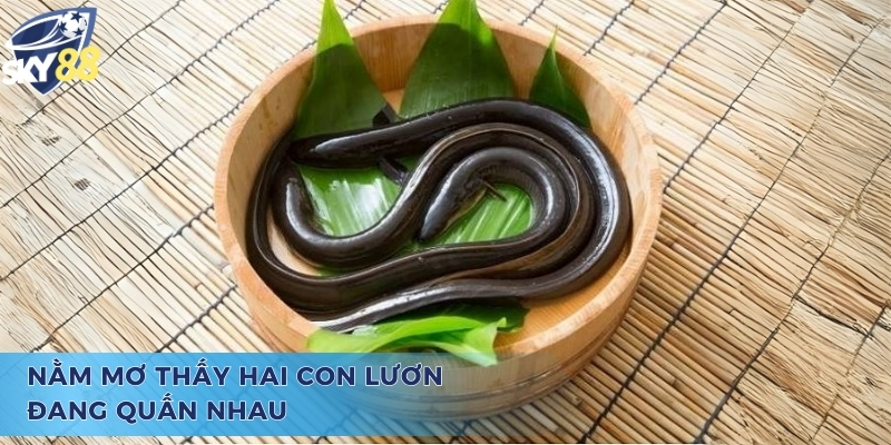 Mơ Thấy Lươn To Đánh Con Gì Và Ý Nghĩa Chiêm Bao Giấc Mộng Mơ thấy lươn to đánh con gì? - Chiêm bao thấy đôi lươn quấn nhau